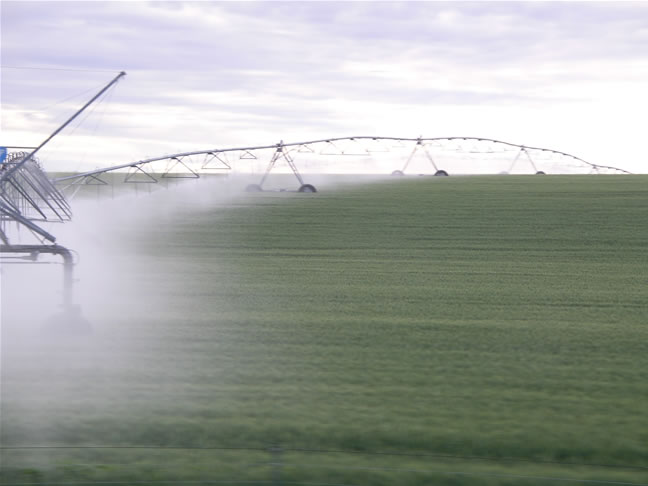 images/A-On the way to Jackson lake Junction (9).jpg